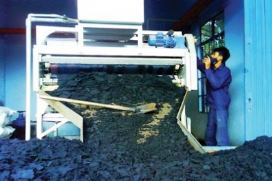 Hải Phòng chào đón công nghệ Nhật Bản để xử lý chất thải rắn