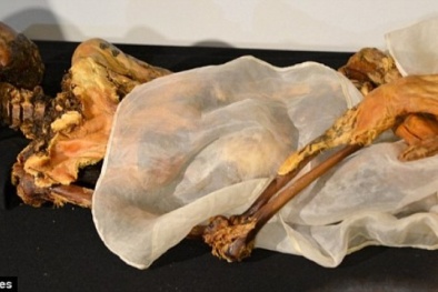 Hình xăm và những điều bí ẩn về xác ướp 2.500 tuổi tại Nga