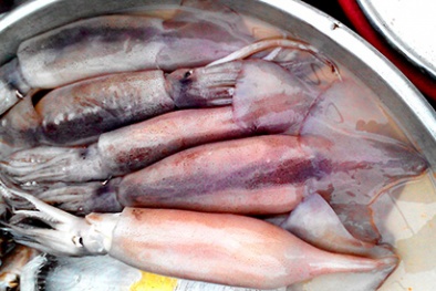 Hé lộ nguồn gốc bất ngờ của mực 'lạ' giá siêu rẻ