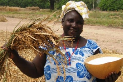 Kinh nghiệm cải thiện năng suất nông nghiệp ở Uganda