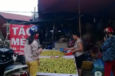 Táo mèo vùng cao về chợ giá rẻ với sức mua tăng