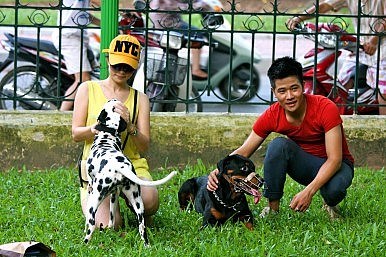 Bắt cóc chó quý, tống tiền chủ 'đại gia'