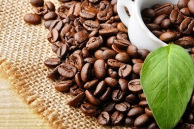 Giá cà phê liên tục tăng cao sau lễ hội đường phố châu Âu