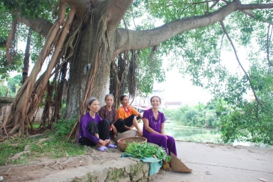 Bất ngờ với làng quê thời nay