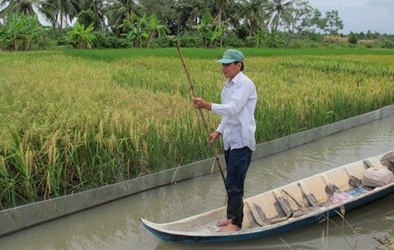 Phát hiện nhiều sai phạm của Phó bí thư Huyện ủy đề nghị làm rõ trách nhiệm của mình