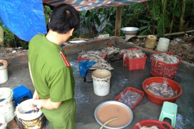 Kinh hoàng “công nghệ” tẩy hơn 400kg mực thối thành mực tươi