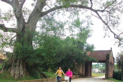 Làm sao nghe lại tiếng động của làng tôi?