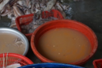 Phát hiện cơ sở tẩy trắng mực bằng hóa chất