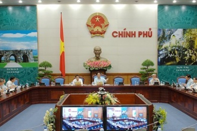 Thủ tướng kết luận hai dự án trọng điểm