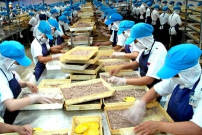 Năng suất lao động Việt Nam năm 2015 có thể tăng gấp đôi so với 2010