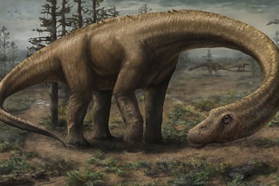 Phát hiện loài khủng long lớn hơn cả chiếc máy bay Boeing 737