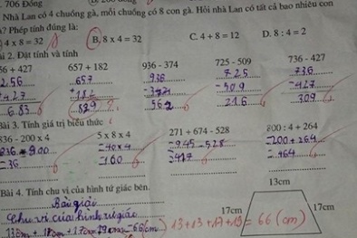 Đáp án chính xác bài toán đếm gà