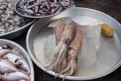 Mực siêu rẻ là hàng dạt nhập khẩu?