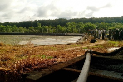 Phát hiện 3 xác chết trong hồ xử lý nước thải nhà máy cao su