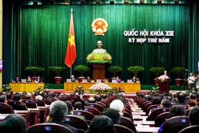 'Quốc hội phải có thực quyền về tiền và người'