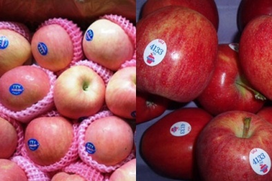 Vach chiêu con buôn gắn tem 'xịn' lên trái cây Trung Quốc