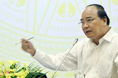 Phó Thủ tướng Nguyễn Xuân Phúc: “Dân chưa nói, ông đã sa sả là không được”