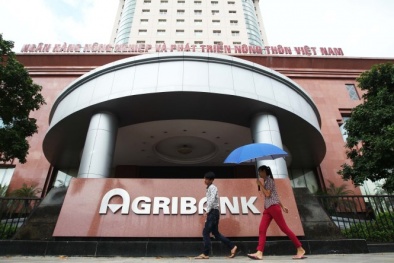 Vì sao nguyên Chủ tịch HĐQT ngân hàng Agribank bị bắt giam?