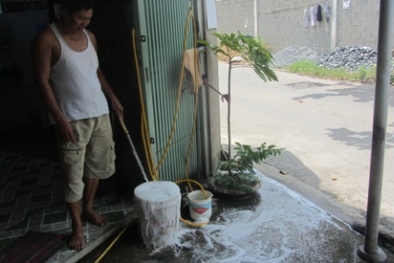 TP.HCM: Người dân kêu cứu vì ‘bọt lạ’ tấn công khu dân cư