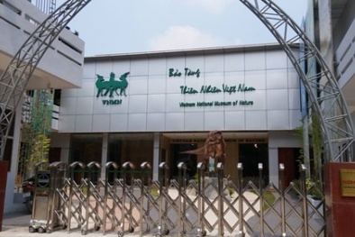Bảo tàng Thiên nhiên VN: Mở cửa 4 tháng nhưng không biết chi phí xây dựng