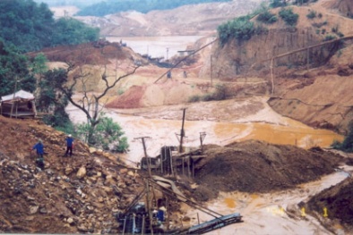 Tận diệt tài nguyên khác nào ăn cắp tài sản quốc gia, phải xử tử hình!