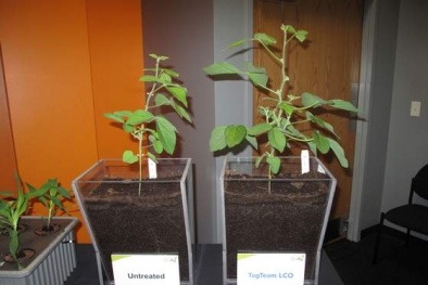 Ứng dụng mới tăng năng suất chất lượng nông nghiệp