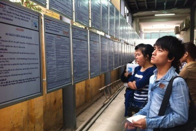 Thanh niên thành thị thất nghiệp đến 12%