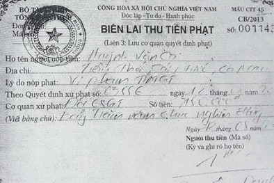 CSGT năn nỉ người vi phạm?