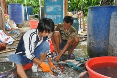 Tình hình Biển Đông ngày 1/10: Trung Quốc trả tiền khuyến khích dân ra sống ở Hoàng Sa?