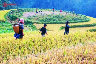 Dự báo thời tiết hôm nay ngày 2/10: Nhiệt độ ngày và đêm giảm