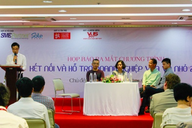 Dự án kết nối và hỗ trợ doanh nghiệp vừa và nhỏ