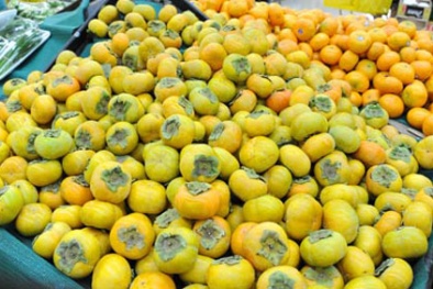 Hồng giòn rớt giá vì bị nhầm với hàng Trung Quốc