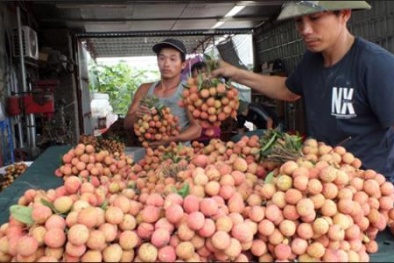 Đã có cửa 'thoát' Trung, nông sản Việt đừng chỉ 'hớt váng'!