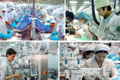  Phó Thủ tướng Vũ Văn Ninh giao nghiên cứu thành lập Ủy ban năng suất lao động