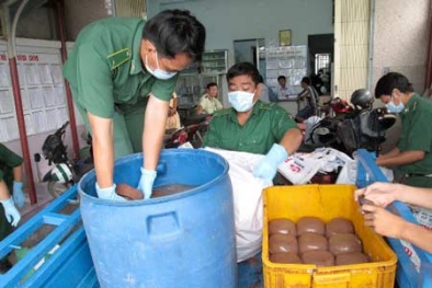 Hãi hùng tiết bẩn bốc mùi hôi thối