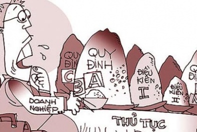 Cán bộ cũng là một... giấy phép con