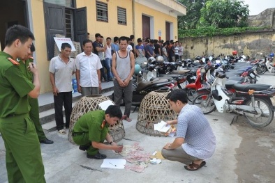 Đột kích sới gà 'khủng' ở Hải Dương