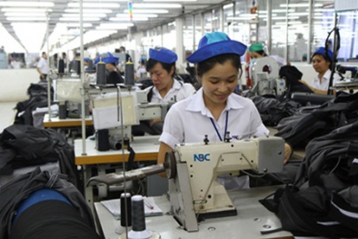 Sẽ có nhiều tổng công ty thuộc dạng 'đặc biệt'