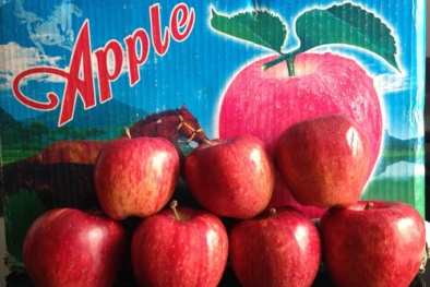 Táo giả Mỹ tràn lan