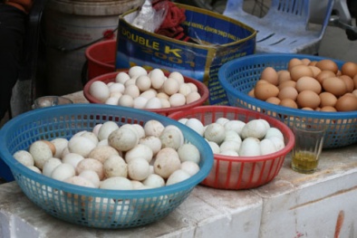 Bộ trưởng Nông nghiệp đề nghị kiểm tra thông tin giấy phép 'hành' quả trứng