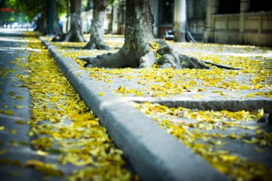 Dự báo thời tiết hôm nay ngày 15/10: Bắc bộ khô hanh, Nam Bộ nhiệt độ tăng nhẹ