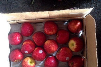 Tạm giữ hơn 900 thùng trái cây không rõ nguồn gốc