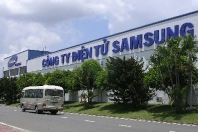 Con ốc vít, bao bì và tấm hộ chiếu