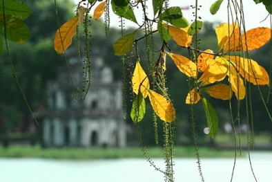 Dự báo thời tiết ngày mai 17/10: Bắc bộ tạnh ráo, Nam và Trung bộ có mưa rào và dông