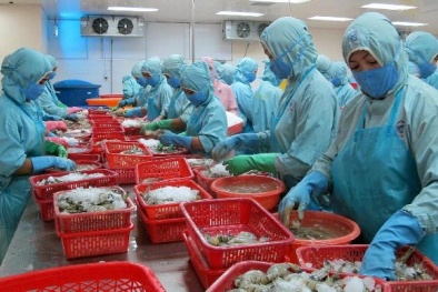 Con tôm sẽ bị giám sát