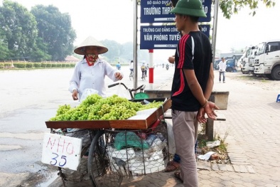 Nho xanh giá rẻ tràn lan ở Hà Nội, quả Trung Quốc đội lốt hàng Việt?