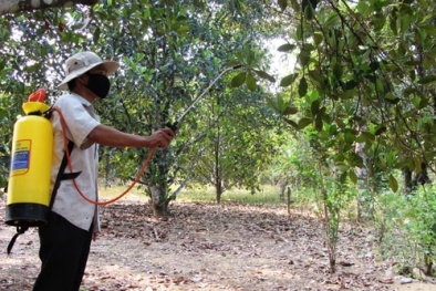 Công nghệ cao bảo quản nông sản từ khi chưa thu hoạch