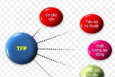 Hướng dẫn áp dụng hệ thống chỉ tiêu và phương pháp đo lường TFP