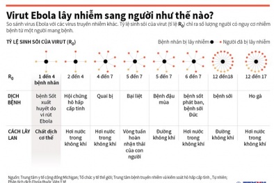 Việt Nam xét nghiệm Ebola như nào?