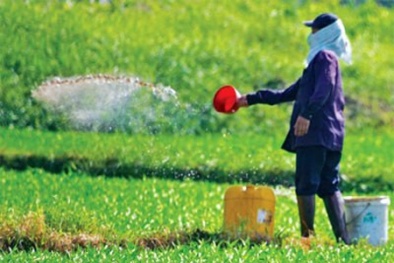 Nông dân Việt Nam đã hết thật thà?